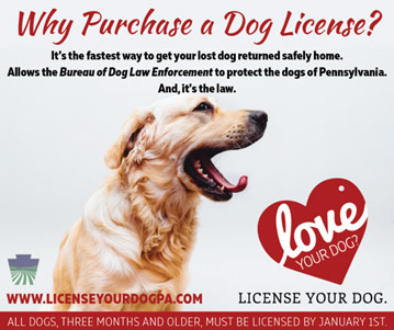Why Purchase a Dog License?
