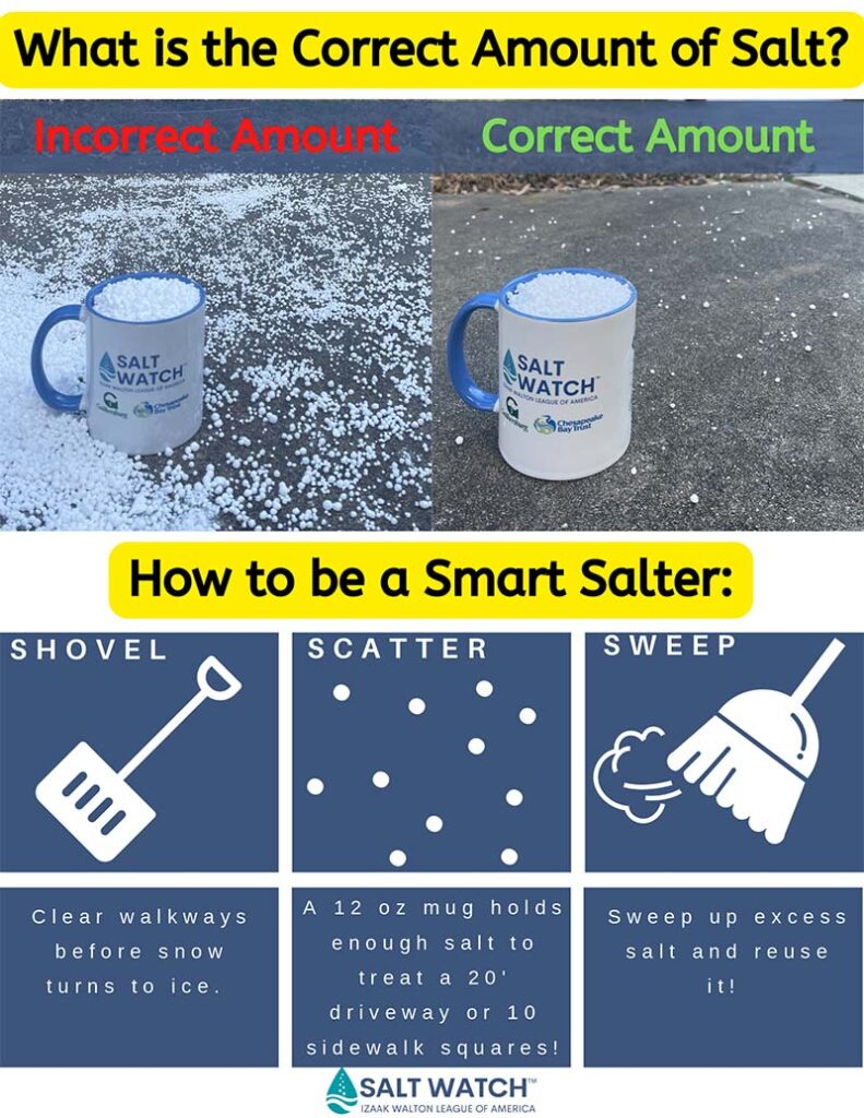 How Much Salt to Use Flyer